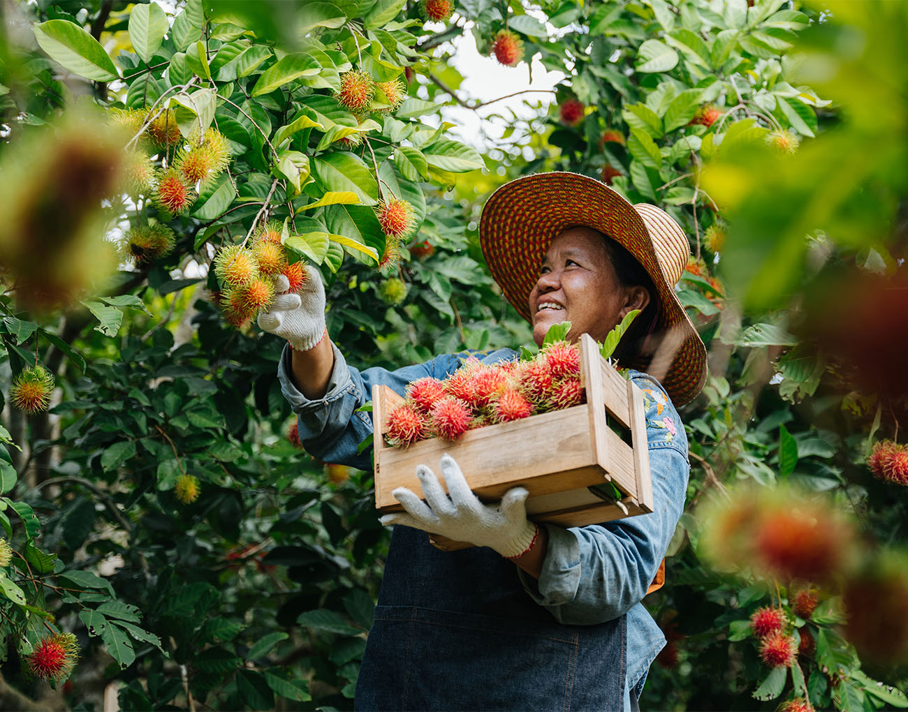 Challenge Statements 3 Farmer - The Greentech Accelerator 2022