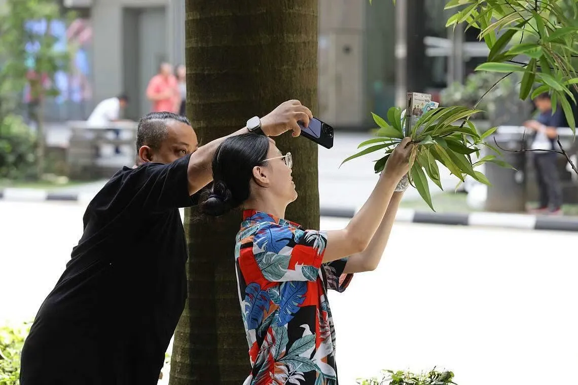 Uob And Nac Press Release - Acceleration Programme For The Arts 2023