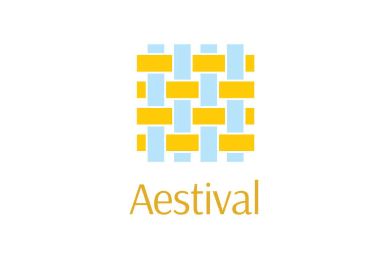 Aestival Elements Logo - Digitalisation Innovation Programme: Womenpreneur