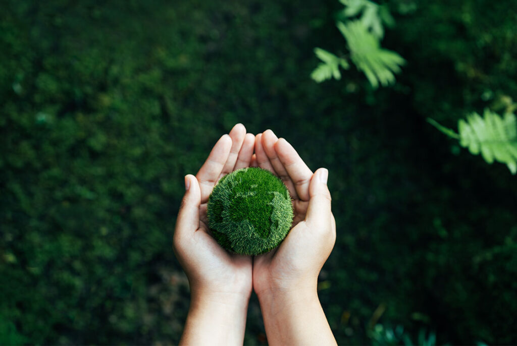 Sip 2025 Building A Sustainable Future For Smes - Sustainability Reporting Essentials For Smes Course Details