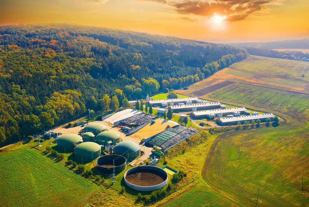 Sip 2025 Carbon Management For Smes - Sustainability Reporting Essentials For Smes Course Details