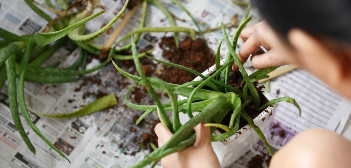 Gettyimages 816207892Cropped - Tackling Sustainability As One Nation: How Smes Can Lead And Thrive