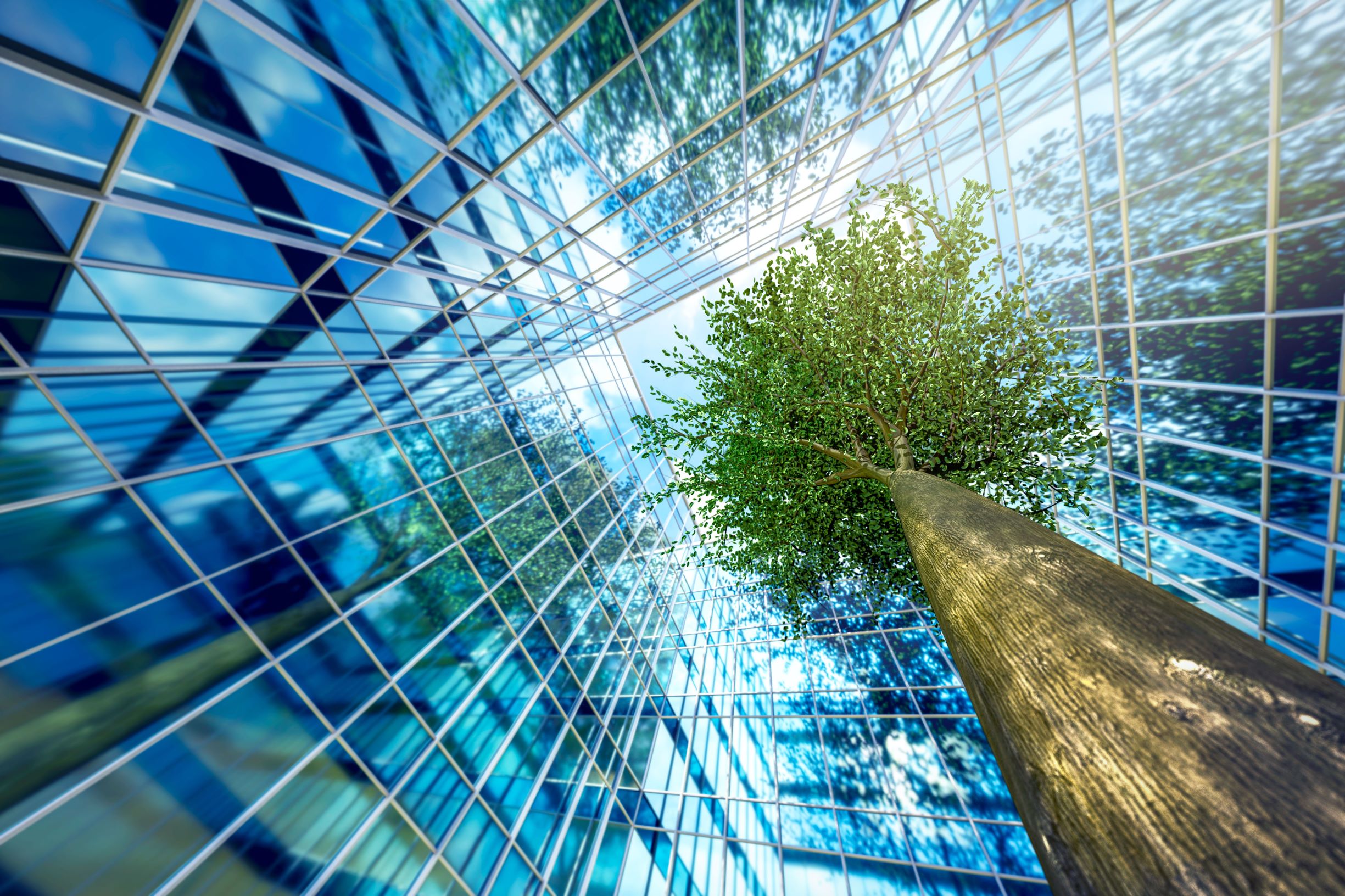 Tree In Building - From Talk To Action: Turning Sustainability Into Measurable Business Outcomes